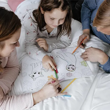 ホテル イビス スタイルズ アレクサンダープラッツ 3*